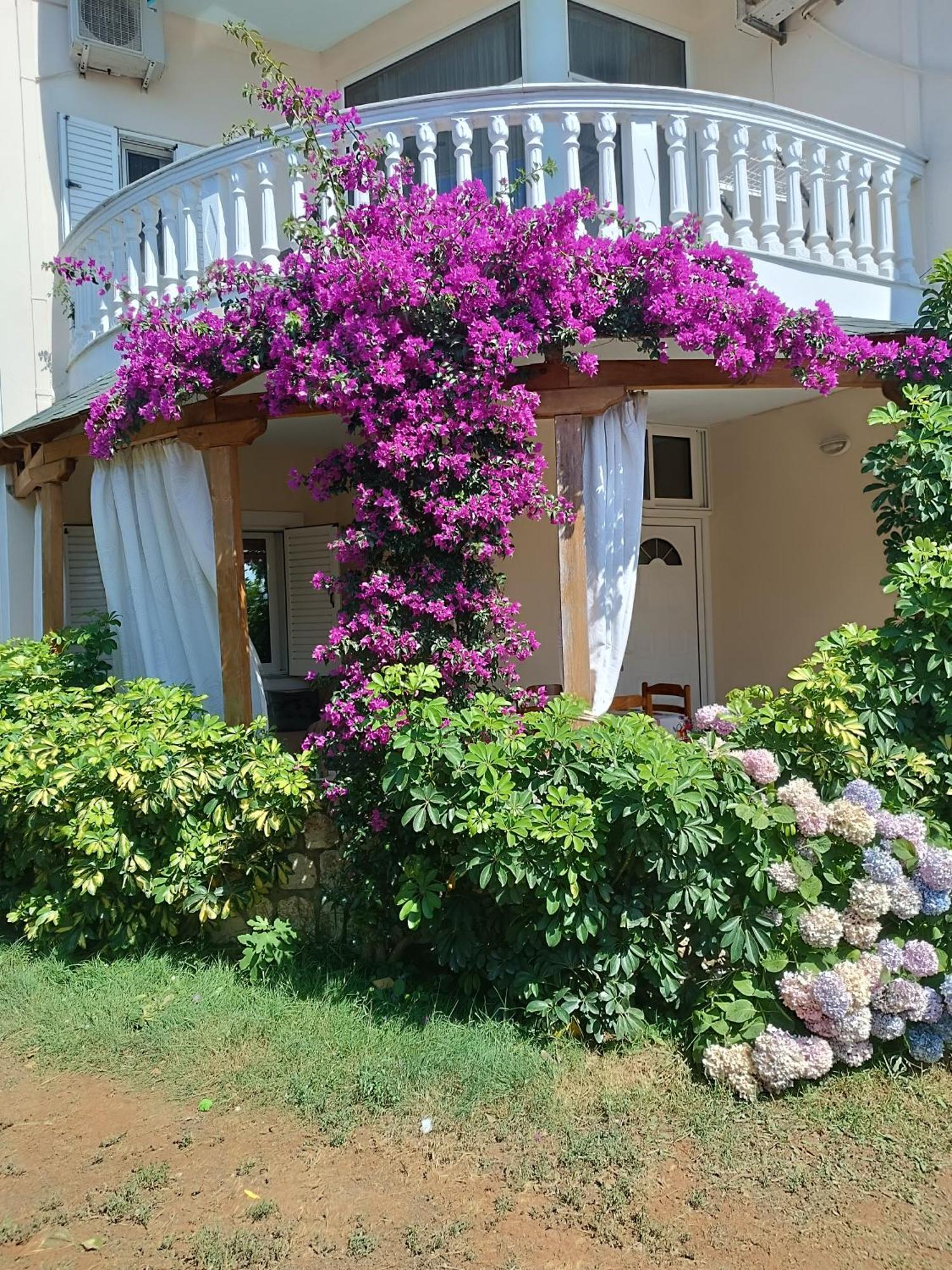 Oruci Apartments 사밀 외부 사진