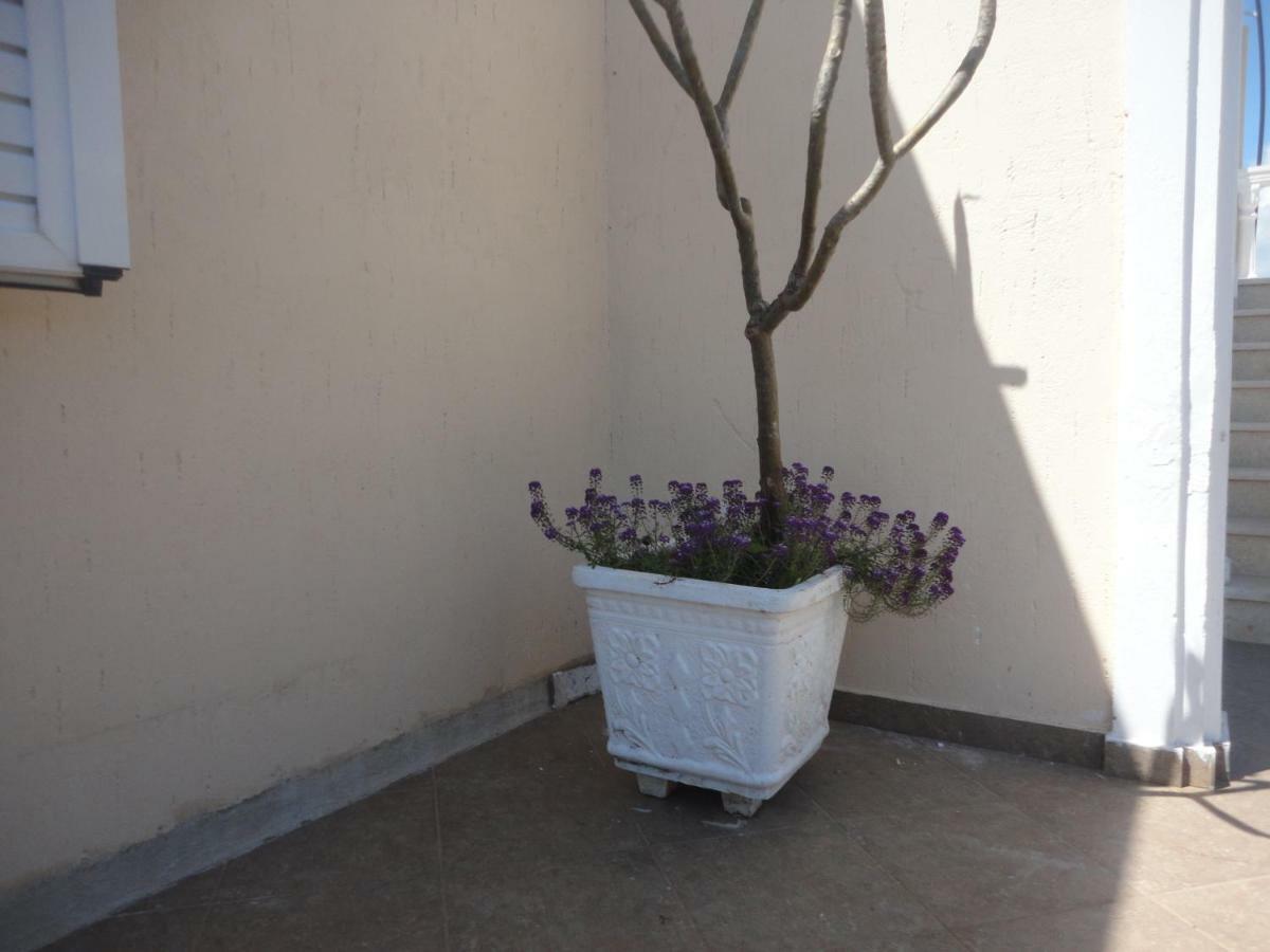 Oruci Apartments 사밀 외부 사진